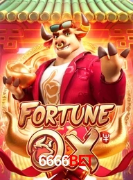 6666BET.COM